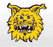 Tampereen Ilves