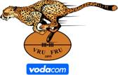  Cheetahs 