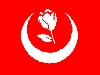 Büyük Birlik Partisi