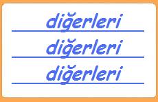 DİĞERLERİ