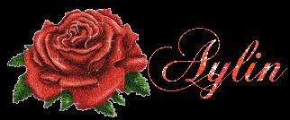 Aylin