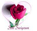 Seni seviyorum