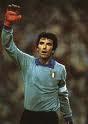 DİNO ZOFF