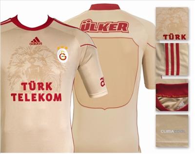 ARSLAN 2010