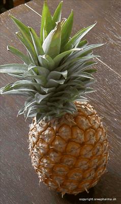 Ananas