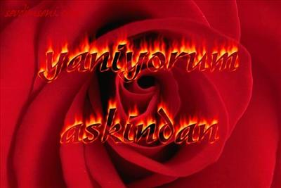 EveTttttTTttttttTtttt :)))