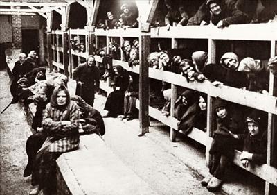 Si, come un ebreo ad Auschwitz