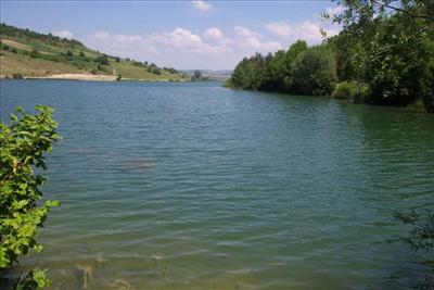 Eflani