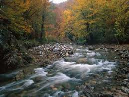 Yenice