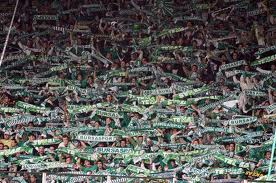 Bursaspor - Texas