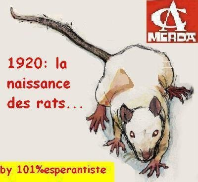 Ca merda