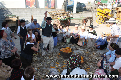 Foto 002