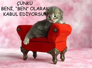 Çünkü beni ben olarak kabul ediyorsun...