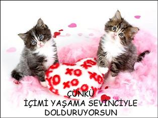 Çünkü içimi yaşama sevinci çle dolduruyorsun...