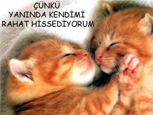 Çünkü yanında kendimi rahat hissediyorum...