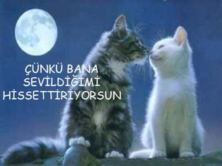 Çünkü bana sevildiğimi hissettiriyorsun...